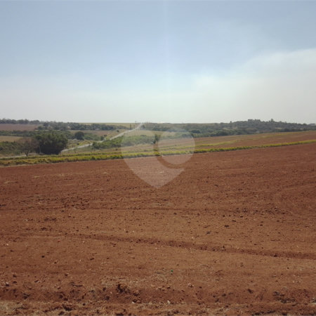 Excelente sítio de 27 alqueires, ótima localização em São Carlos.