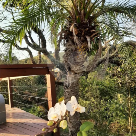 TERRENO À VENDA DE 500M² NO CONDOMÍNIO ECOLOGIE RESIDENCIAL EM ITATIBA-SP Ref: 1011875