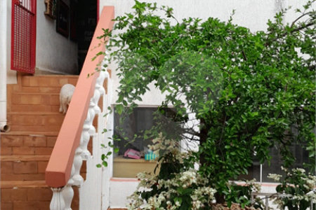 Casa com 4 dormitórios sendo 1 suíte a venda no bairro Samambaia