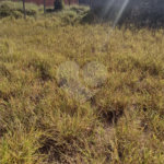 Terreno no Bairro Monterrey