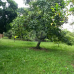Chácara a venda no Residencial Planalto Serra Verde em Itirapina
