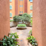 Apartamento à Venda – Condomínio Chamonix, Jardim Paraíso