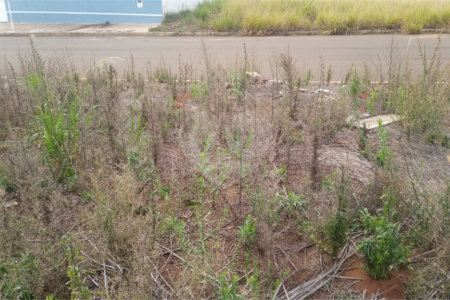 Lote no Jardim do Bosque, aceita financiamento ou aquisição de terreno e construção .