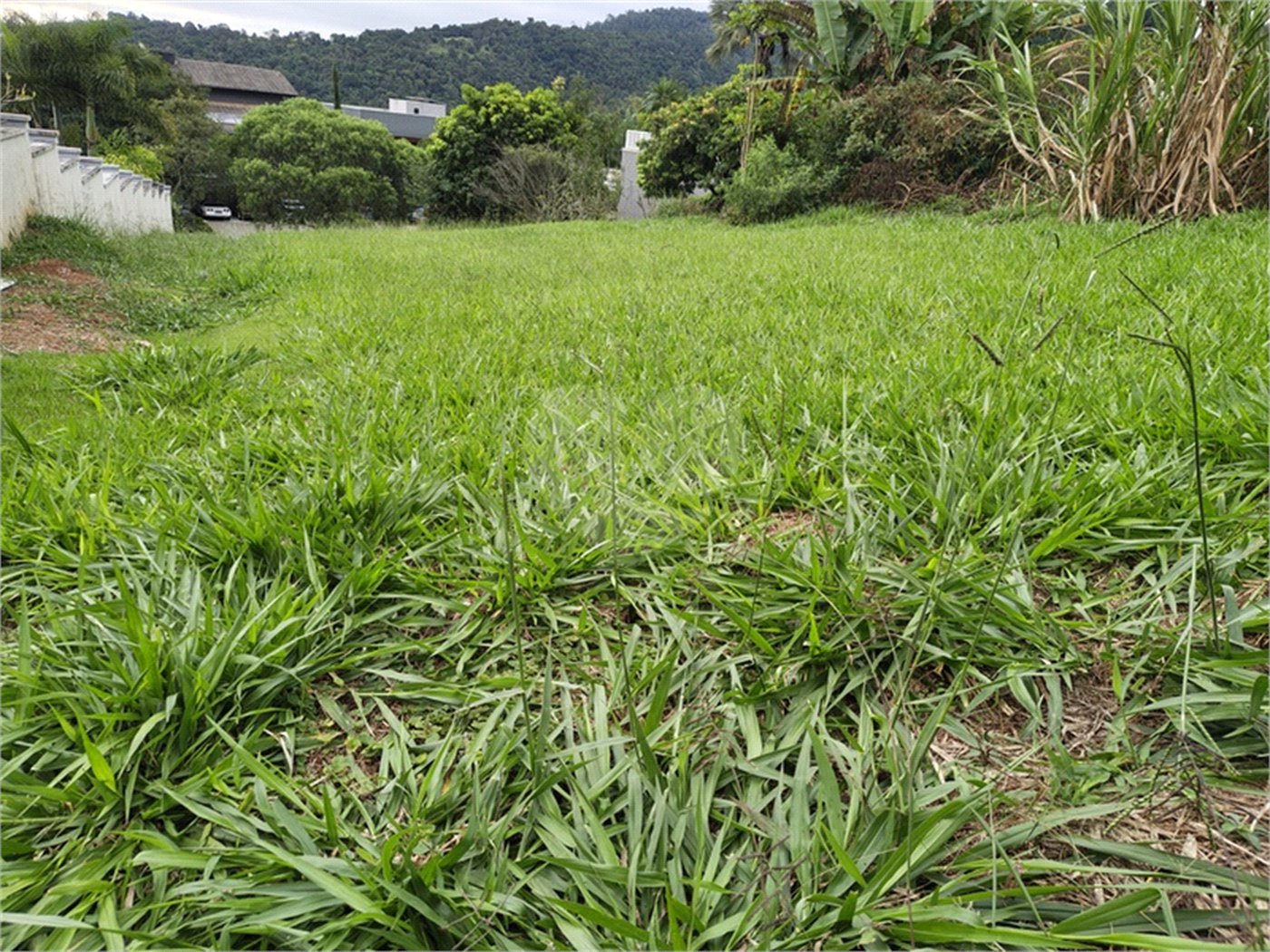 Lote à Venda no Porto Atibaia – 1.300 m² com Vista Privilegiada