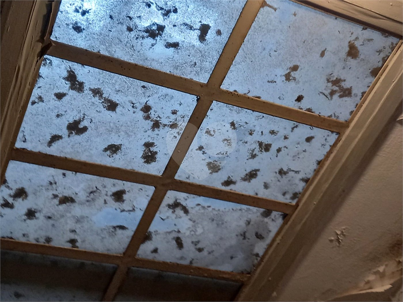 Sobrado de 3 quartos à venda na Aclimação