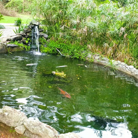 Terreno à venda em Jardim São Vicente, Cotia - SP