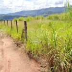 Oportunidade Exclusiva em Atibaia – Terreno com 8.919m² em Localização Privilegiada