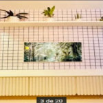 Apartamento à vendo no bairro Centro