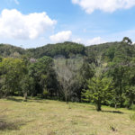 Tapiraí Sp - Sítio Santa Clara - Area de 12,1 ha - composto por casa principal, galpões poço artesiano, ótima área para plantios. Fica localizado a aproximadam. 1 quilômetro da prefeitura. Area preservação permanente- 4,6 ha - Area aproveitável - 4,6 ha - area utilizada rural - 2,5 ha -R$ 750.000,00