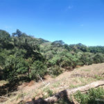Área rural em Piracaia com 3.289 metros, ótima para chácara, as margens do rio Cachoeira