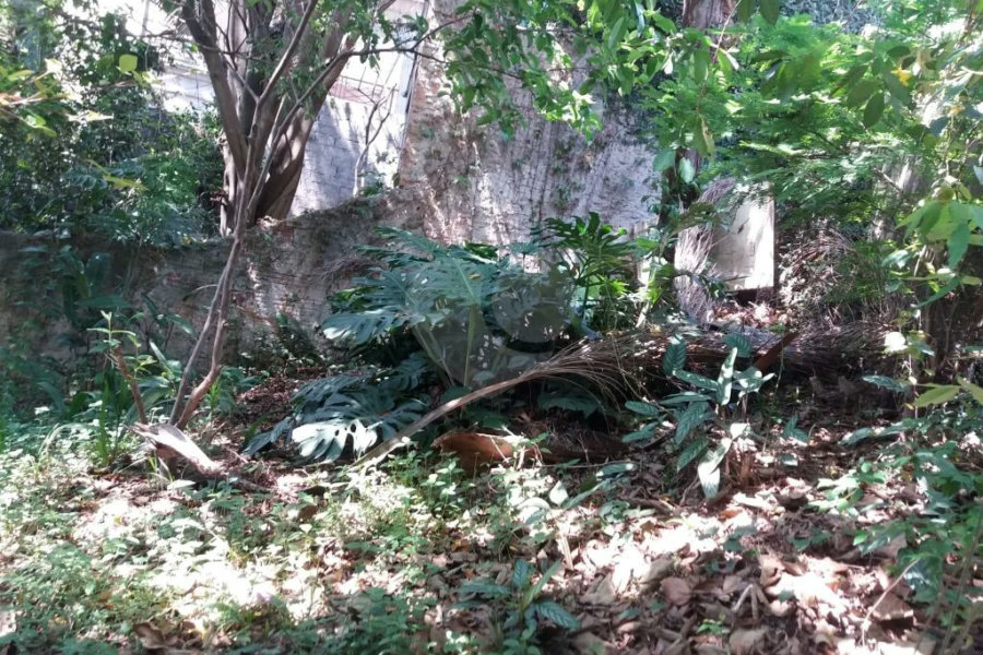 Casa térrea à venda em local tranquilo e arborizado