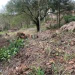 Terreno em condomínio Atibaia 1200m² ref: 890832
