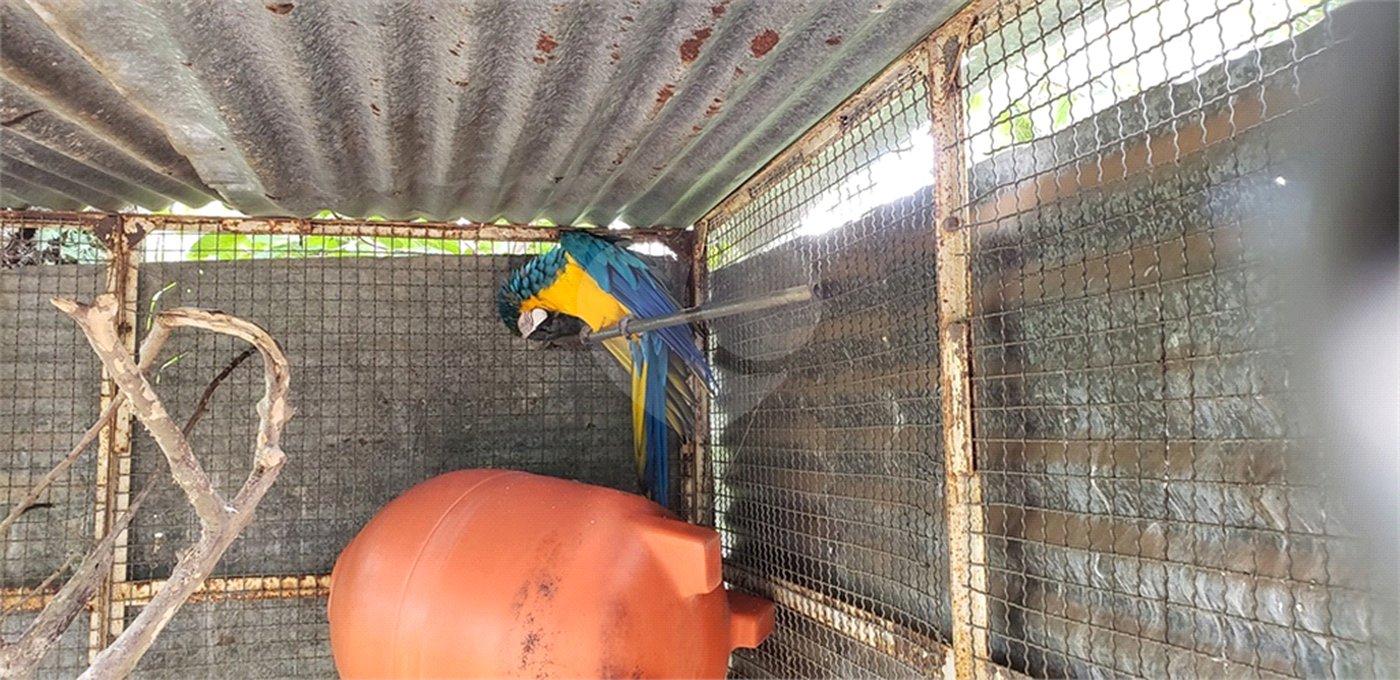 Sitio para venda.