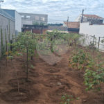 Terreno a venda no Jardim Munique