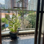 Apartamento com 2 Quartos à venda, 51m² - Jardim Caravelas