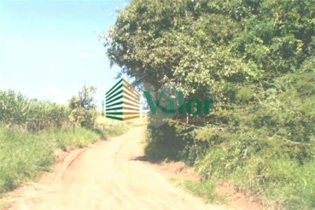 Sítio Estrada São Carlos Ribeirão - próximo São Carlos