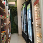 Apartamento para alugar com 1 suíte em Vila Mascote, São Paulo, SP