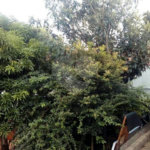 Casa Térrea à venda com 3 quartos, sendo 1 suíte, em Santa Teresinha, São Paulo, SP