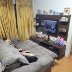 Apartamento à venda com 2 quartos em Lauzane Paulista, São Paulo, SP