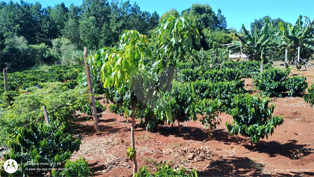 Chácara à venda em Campo Grande, Pilar do Sul, SP