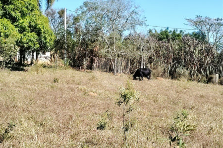 Sítio à venda com 3 quartos, sendo 1 suíte,  em Da Barra, Salto de Pirapora, SP