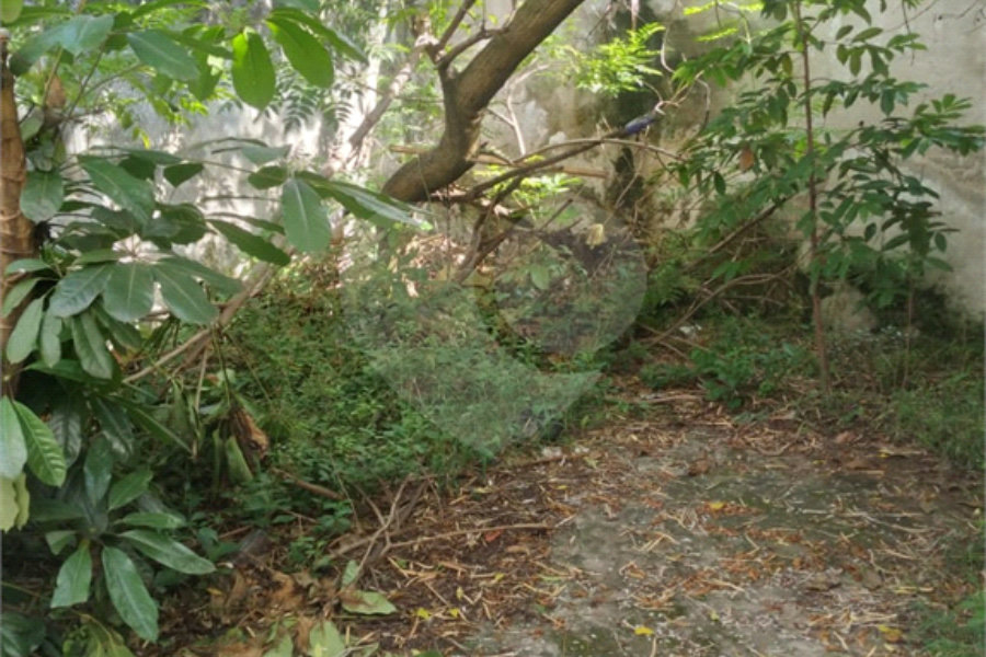 Terreno à venda em Jaçanã, São Paulo, SP