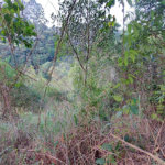 Terreno à venda no condomínio Sausalito, Mairiporã - SP
