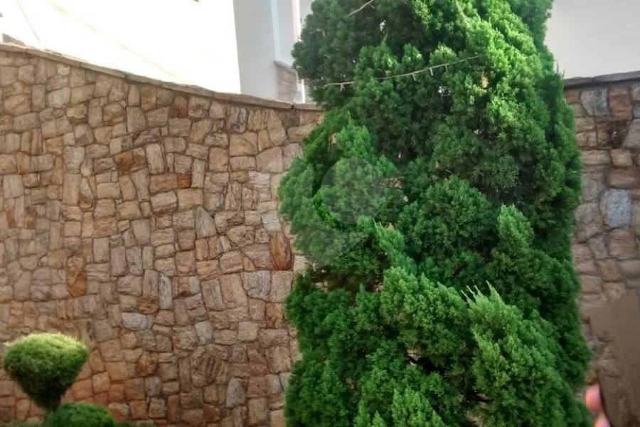 Casa à venda com 4 quartos, sendo 2 suítes,  em Vila Guilherme, São Paulo, SP