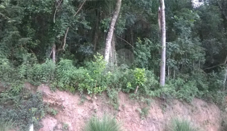 Terreno à venda em Serra da Cantareira, Mairiporã, SP