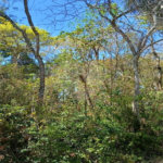 Terreno à venda em Remédios, Mairiporã, SP