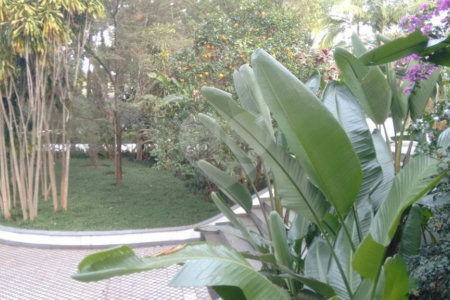 Apartamento à venda com 3 quartos, sendo 1 suíte, em Granja Julieta, São Paulo, SP