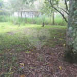 Chácara à venda com 4 quartos, sendo 2 suítes, em Serra da Cantareira, Mairiporã, SP
