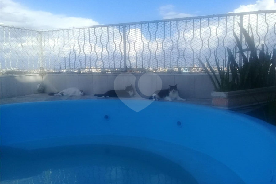 Apartamento à venda com 3 quartos, sendo 2 suítes, em Mandaqui, São Paulo, SP