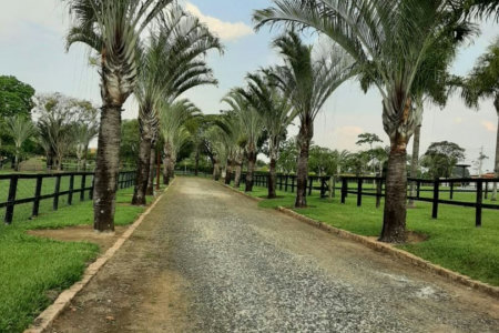 Rancho com 12 dormitórios à venda, 63000 m² por R$ 7.500.000,00 - Condomínio Haras Paineiras - Salto/SP