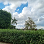 Terreno em condomínio à venda em Jardim Ibiti do Paço, Sorocaba, SP