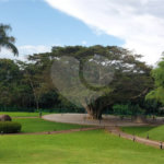 Casa à venda com 4 suítes no condomínio Figueira Garden, Atibaia - SP
