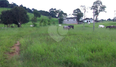 Fazenda à venda com 3 quartos em Cachoeirinha, Bom Jesus dos Perdões, SP
