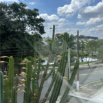 Casa à venda com 2 suítes no condomínio Real Park -  Vila Oliveira, Mogi das Cruzes - SP