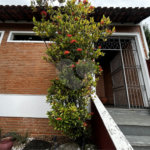 Sobrado à venda com 4 quartos, sendo 1 suíte, em Casa Verde, São Paulo, SP