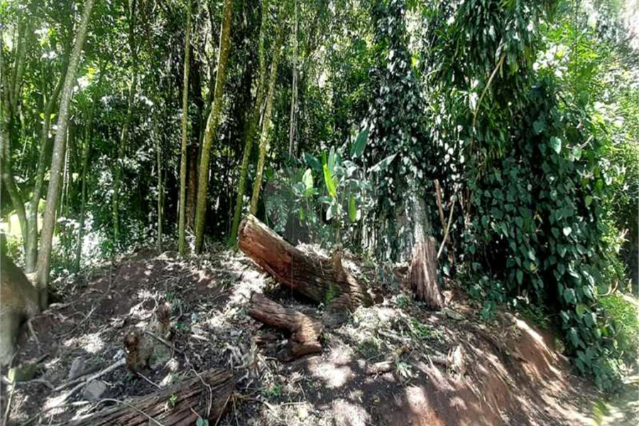 Terreno à venda em Serra da Cantareira, Mairiporã, SP