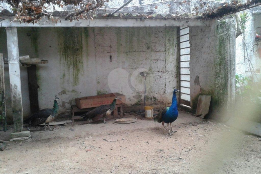 Terreno à venda em Horto Florestal, São Paulo, SP