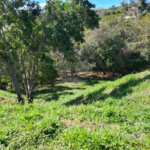 Terreno à venda em Bosque, Vinhedo, SP