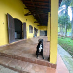 Casa à venda com 6 quartos, sendo 5 suítes,  em Santa Claudina, Vinhedo, SP