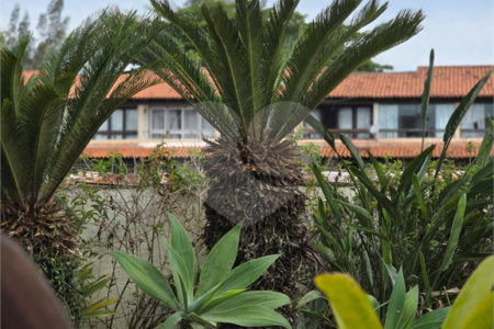 Casa à venda com 5 quartos, sendo 1 suíte,  em Praia Rasa, Armação dos Búzios, RJ
