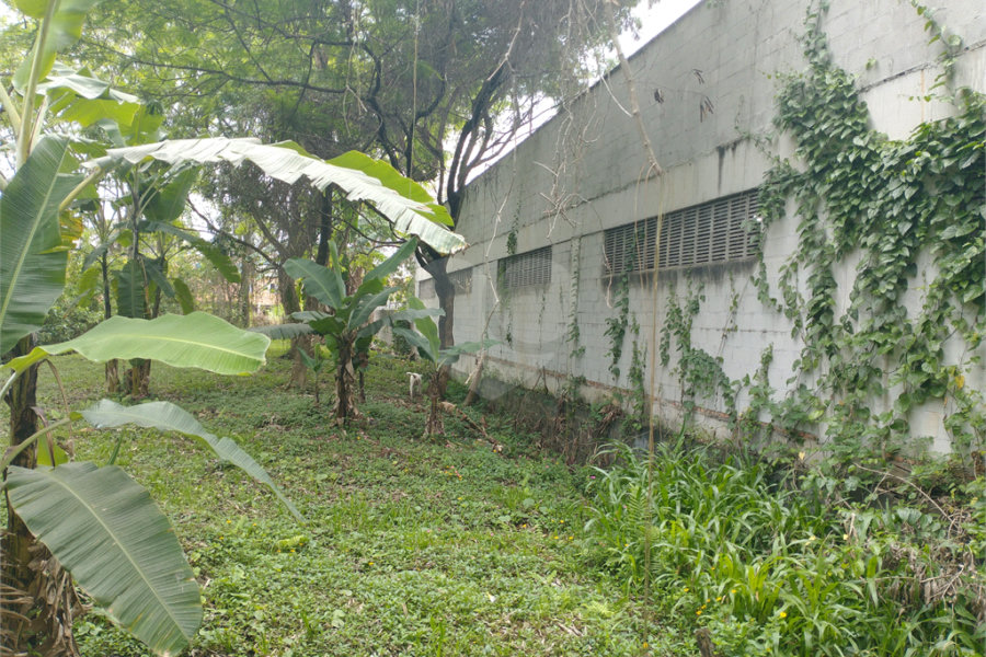 Terreno à venda em Jardim Bela Vista, Guarulhos, SP