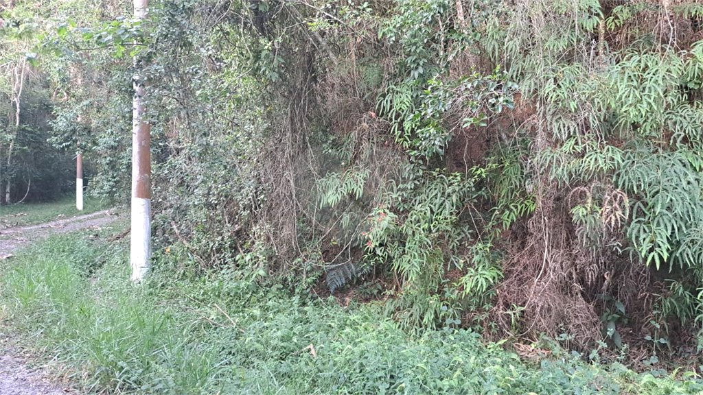 Terreno à venda no condomínio Associação Reserva das Hortênsias, Mairiporã - SP