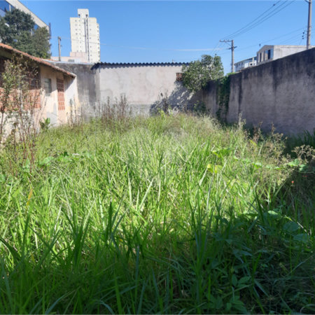 Terreno à venda com 1 quarto em Vila Gustavo, São Paulo, SP