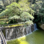 Cobertura à venda ou para alugar com 4 suítes em Jardim Morumbi, São Paulo, SP