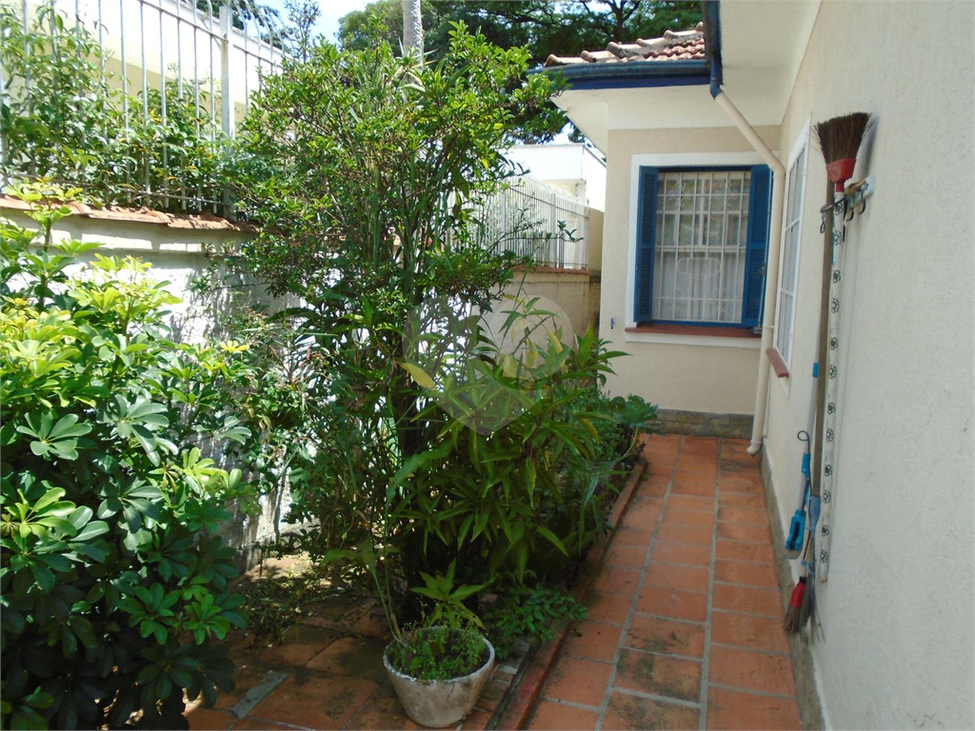 Casa Térrea à venda com 3 quartos em Campo Belo, São Paulo, SP
