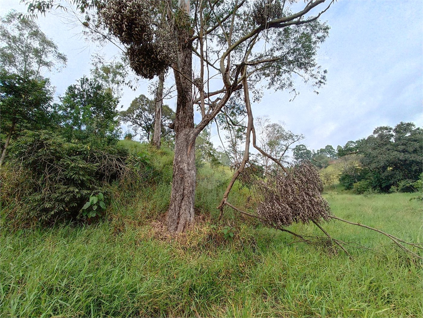 Terreno à venda em Jardim Monte Santo, Itapetininga, SP